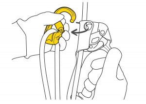 Mosquetón con polea Petzl Rollclip Z