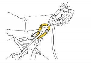 Mosquetón con polea Petzl Rollclip Z