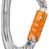 Mosquetón con polea Petzl Rollclip Z