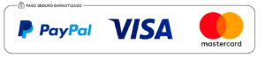pago seguro visa